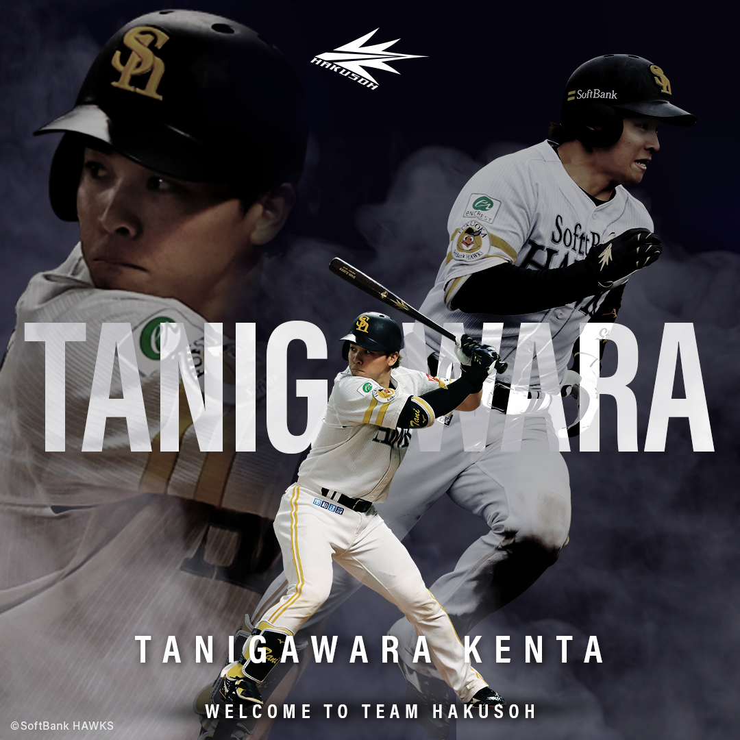 Sh 谷川原健太選手 WELCOME TO TEAM HAKUSOH – HAKUSOH BAT