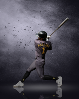 UNICORN SLUGGER -軟式木製-