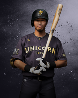 UNICORN SLUGGER -軟式木製-