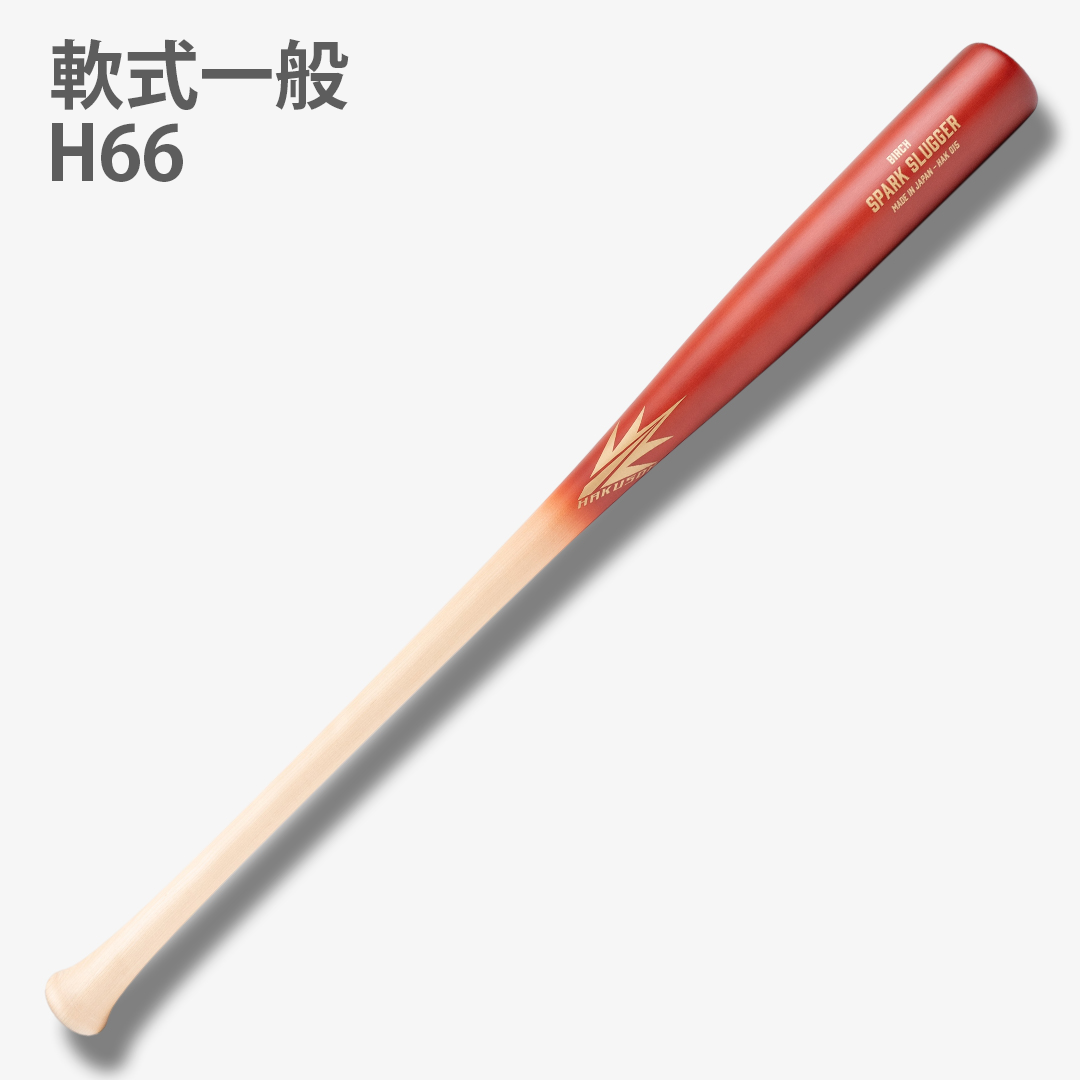 H66 軟式一般